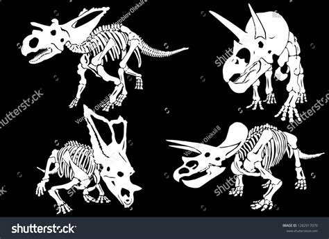 Graphical Set Dinosaur Skeletons Isolated On Stock Vector Royalty Free