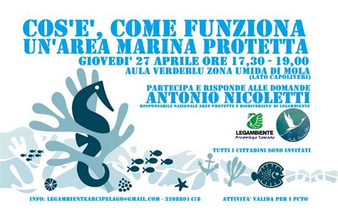 Il Aprile A Mola Si Parla Di Area Marina Protetta Elbapress