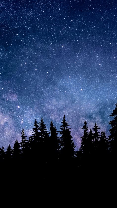 Night Wallpaper K Starry Sky Forest Silhouette