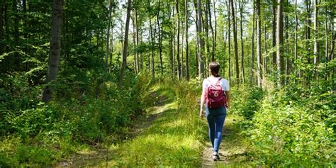 Rhön Rundweg 2 Oberweißenbrunn Bischofsheim Rhön Wanderung