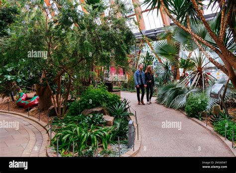 Sheffield Winter Garden Es Uno De Los Invernaderos Templados M S