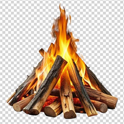 Premium Psd Burning Cozy Bonfire Campfire Isolated On Transparent