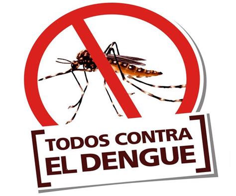 Qu Es El Dengue