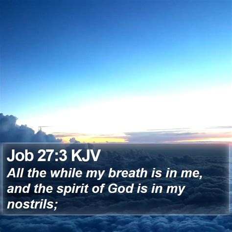 Job 273 Kjv All The While My Breath Is In Me And The Spirit