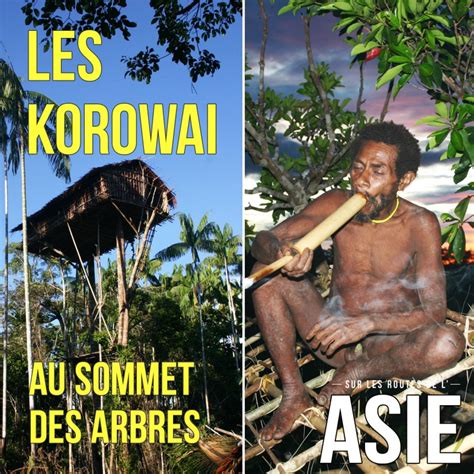 Sur Les Routes De L Asie Les Korowai Au Sommet Des Arbres Indon Sie