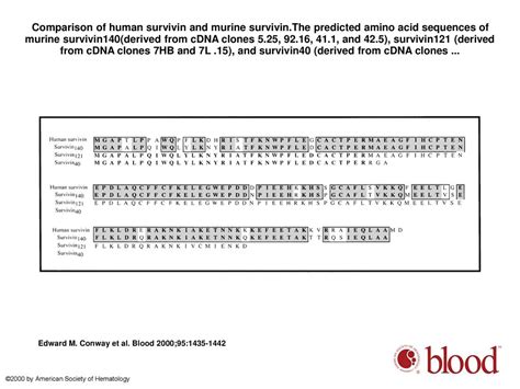 Three Differentially Expressed Survivin Cdna Variants Encode Proteins