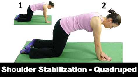 Shoulder Stabilization In Quadruped Ask Doctor Jo Youtube