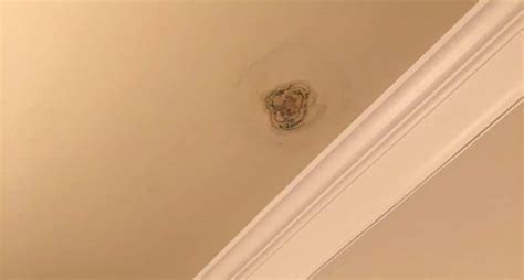 How To Get Rid Of Mold On Ceiling In Bedroom Bedroom Poster