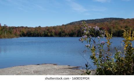 Vermont Fall Foliage Northeast Kingdom Stock Photo 1608319924 ...