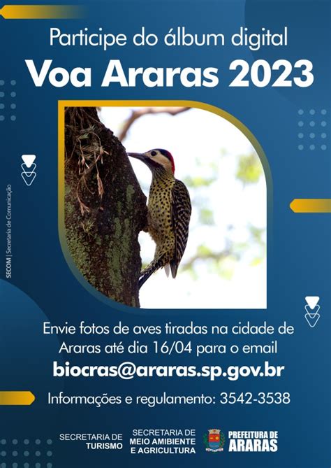 Projeto Voa Araras 2023 envio das fotos de aves acontece até o dia