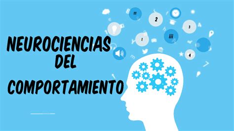 Neurociencias Del Comportamiento By Quijano Vega Katherine On Prezi