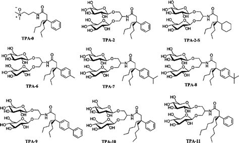 Chemical structures of TPAs used as lead compounds (TPA-0, TPA-2 and ...