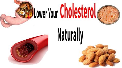 How To Reduce Cholesterol Quickly How To Reduce Cholesterol Naturally Home Remedies