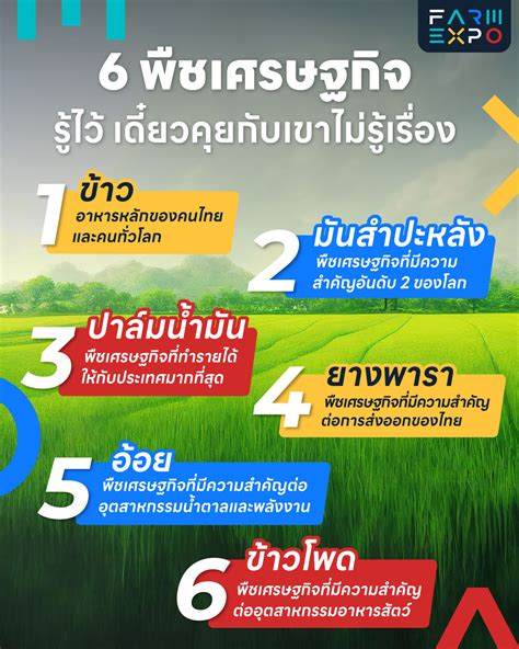 พืชเศรษฐกิจ 6 อย่าง รู้ไว้เดี๋ยวคุยกับเขาไม่รู้เรื่อง Farm Expo