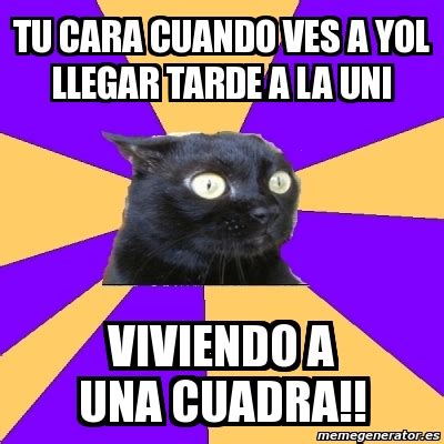 Meme Anxiety Cat Tu Cara Cuando Ves A Yol Llegar Tarde A La Uni