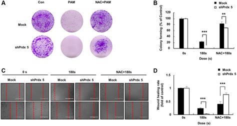 Knockdown Of Peroxiredoxin V Increased The Cytotoxicity Of Non Thermal