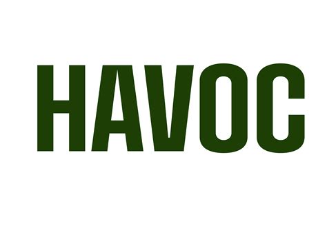 HAVOC – Tactical Fitness Training – Classes not for the faint of heart ...