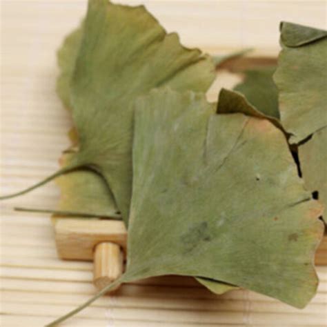 500g Dried Ginkgo Biloba Leaf Tea Chinese Herbal Ebay