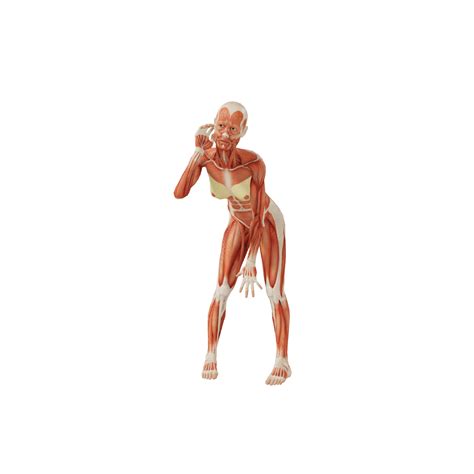 Pose 0000401 Female Standing Sexy Idol Posemaniacs Royalty Free