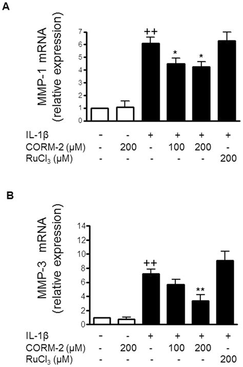 Effect Of Corm On Mmp Mrna Levels In Oa Synoviocytes A Mmp B