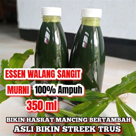 Jual Essen Walang Sangit Jus Essen Walang Sangit Untuk Ikan Nila