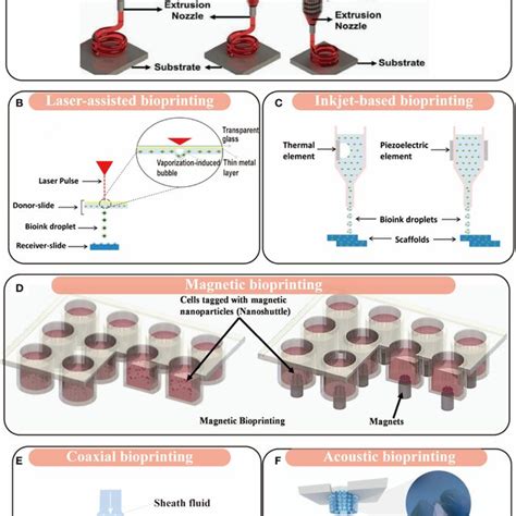 Features and applications of different strategies of 3D bioprinting ...