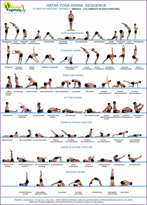 4 Yoga Sequence - Work Out Picture Media - Work Out Picture Media