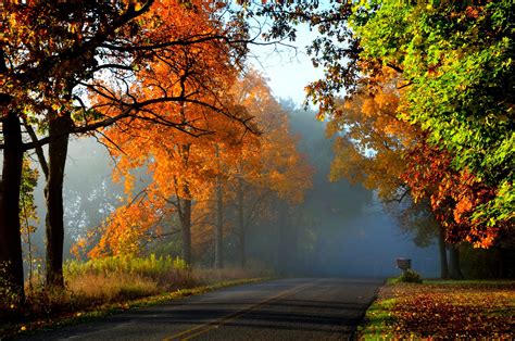 Seasons Autumn Roads Sky Trees Grass Rare Gallery Hd