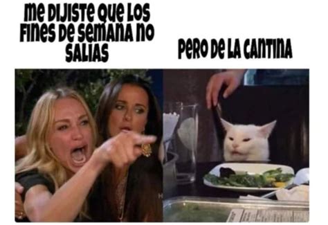 Así nació el meme del gato que se ha tomado las redes sociales