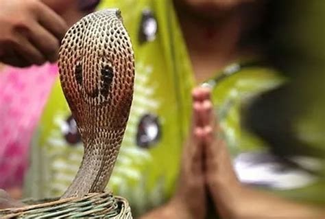 Nag Panchami 2024: Know Muhurat Timing, Puja Rituals And Myths