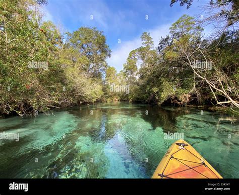 Kayaking Weeki Wachee State Park Florida Stock Photo Alamy