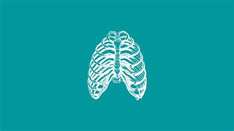 Principles of Chest Wall Reconstruction