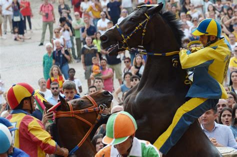 Palio Nervi Tesi Tra Tartuca E Chiocciola Il Sindaco Convoca I Priori