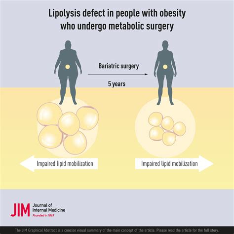 Lipolysis Defect In People With Obesity Who Undergo Metabolic Surgery