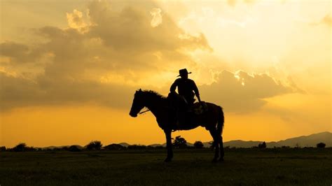 Silhueta De Cowboy A Cavalo Contra Um Lindo P R Do Sol Foto Premium