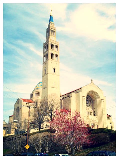 Diocese Of Rockville Centre | St. Boniface Martyr Parish