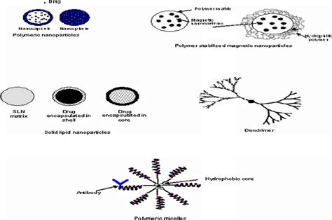 Schematic Representation Of Different Nanotechnology Based