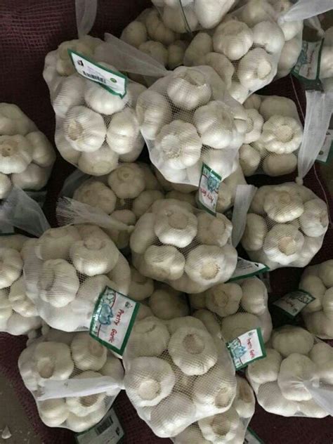 Prepacked Garlic Kousta Agro Farms