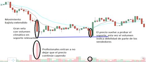 El Volumen En El Trading Guia Completa Mary Day Trader