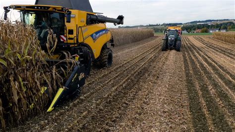 Collecting Corn Residue During Harvest NEW Olimac DRAGO GT Corn