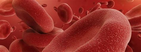 Bajos hematocritos: causas, síntomas y tratamiento - Salud | Ambientech