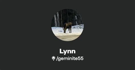 Lynn Instagram Tiktok Linktree