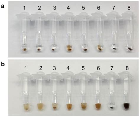 Figure From Naked Eye Detection Of Food Borne Pathogens Using