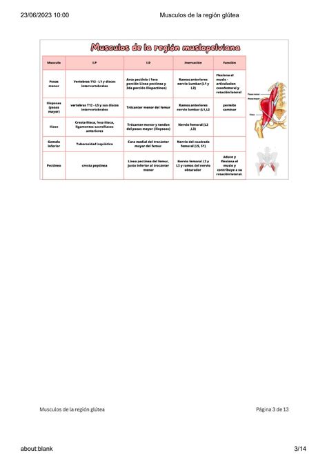 Solution Molecular Biology Bp Harvard University Musculos De La