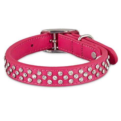 Let Your Pup S Stylish Side Shine On Day Or Night With The Elegant Bond