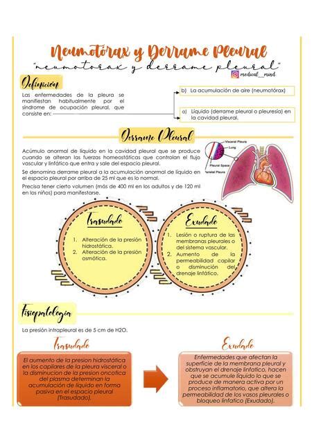 Resumen Trastornos De La Pleura Harrison Principios De Medicina