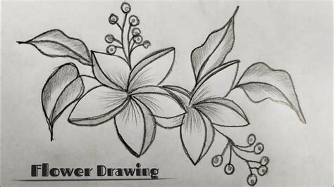 Flower Drawing Designs🌼Very Easy || How To Draw Simple🌸Flower || Corner ...