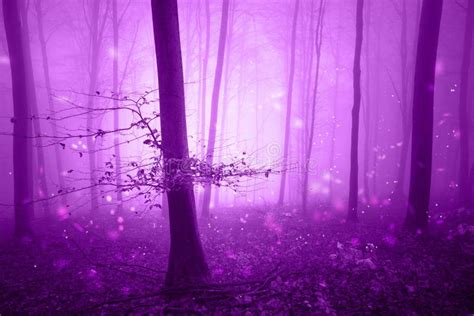 Pink Forest Fairy Background