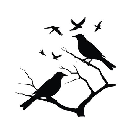 Premium Vector Bird Silhouette Set Black And White Vector Illustration