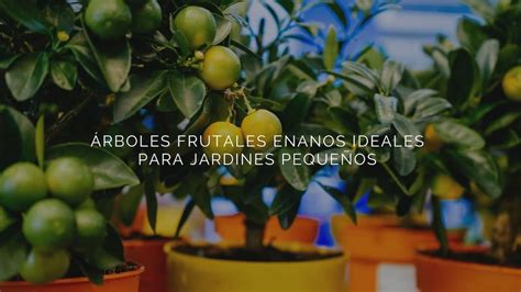 8 árboles frutales enanos ideales para jardines pequeños Silifosca